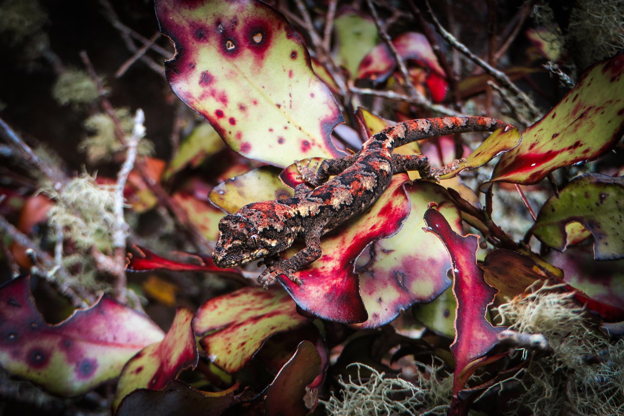 Qor malikasi pornosini onlayn tomosha qiling Tsenzurasiz Osiyo multfilm porno tarjimalar bilan